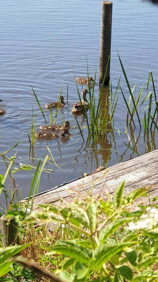 Buiten Huisje Aan De Vaart 1 Matsloot Zewnętrze zdjęcie